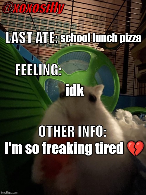 meow | school lunch pizza; idk; I'm so freaking tired 💔 | image tagged in xoxosilly's announcement template | made w/ Imgflip meme maker