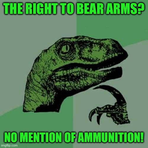 Philosoraptor Meme | THE RIGHT TO BEAR ARMS? NO MENTION OF AMMUNITION! | image tagged in memes,philosoraptor | made w/ Imgflip meme maker