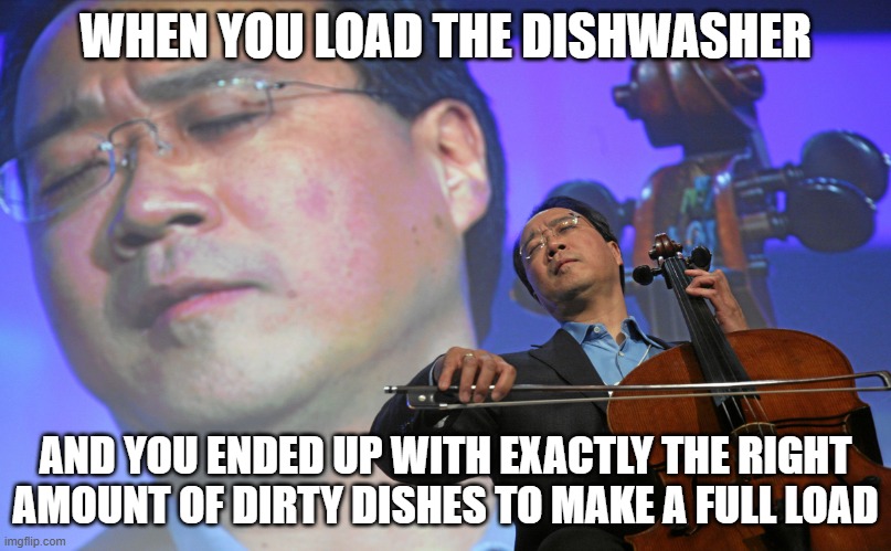Being an adult be like | WHEN YOU LOAD THE DISHWASHER; AND YOU ENDED UP WITH EXACTLY THE RIGHT AMOUNT OF DIRTY DISHES TO MAKE A FULL LOAD | image tagged in yo yo yo pleasure violin,adulting,old,if you know you know,adult humor,adult | made w/ Imgflip meme maker