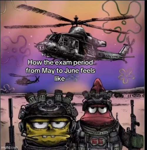 Ts | image tagged in funny,fun | made w/ Imgflip meme maker
