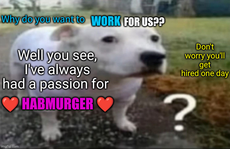 just don't indeed fellers | WORK; Why do you want to; FOR US?? Don't worry you'll get hired one day; Well you see, I've always had a passion for; ❤️ HABMURGER ❤️ | image tagged in confused dog,hired,mcdonald's,job,funny,dog | made w/ Imgflip meme maker