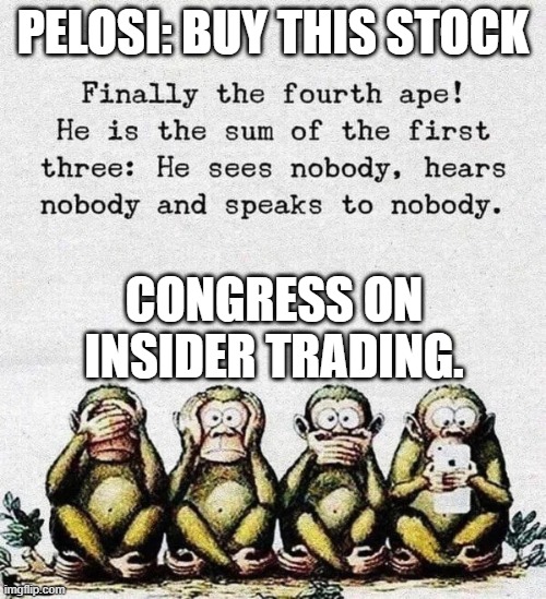 The Democratic Party in a Nutshell | PELOSI: BUY THIS STOCK; CONGRESS ON INSIDER TRADING. | image tagged in the democratic party in a nutshell | made w/ Imgflip meme maker