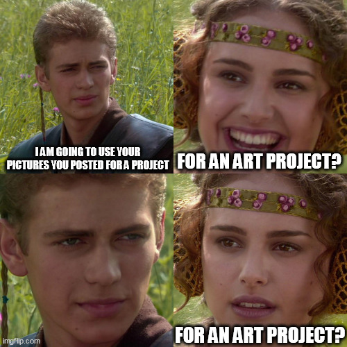 I am going to use your pictures you posted for a project | I AM GOING TO USE YOUR PICTURES YOU POSTED FOR A PROJECT; FOR AN ART PROJECT? FOR AN ART PROJECT? | image tagged in anakin padme 4 panel,funny,pictures,project,social media,porn | made w/ Imgflip meme maker