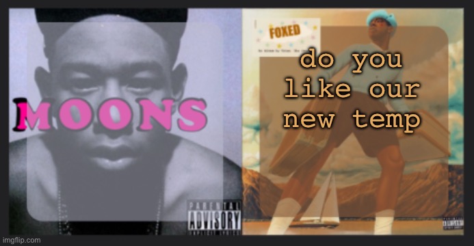 thanks moons | do you like our new temp | image tagged in moons and foxed shared temp | made w/ Imgflip meme maker
