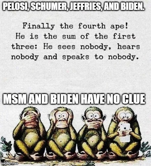 Pelosi, Schumer, Jeffries, and Biden. | PELOSI, SCHUMER, JEFFRIES, AND BIDEN. MSM AND BIDEN HAVE NO CLUE | image tagged in pelosi schumer jeffries and biden | made w/ Imgflip meme maker