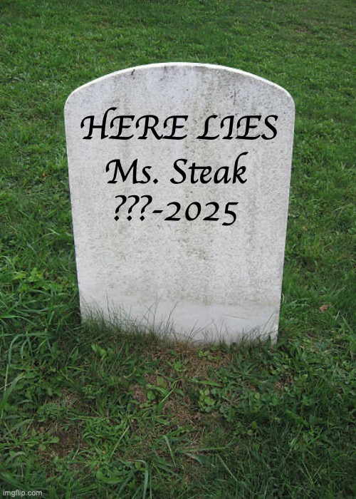 Grave Mistake | HERE LIES; Ms. Steak
???-2025 | image tagged in grave stone,memes,terrible puns | made w/ Imgflip meme maker