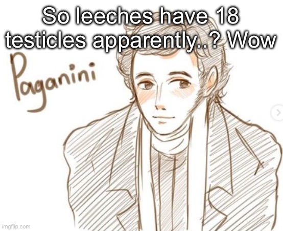 Young Paganini. | So leeches have 18 testicles apparently..? Wow | image tagged in young paganini | made w/ Imgflip meme maker