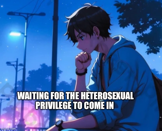 But they say there is privilege? | WAITING FOR THE HETEROSEXUAL PRIVILEGE TO COME IN | image tagged in male privilege,straight people | made w/ Imgflip meme maker