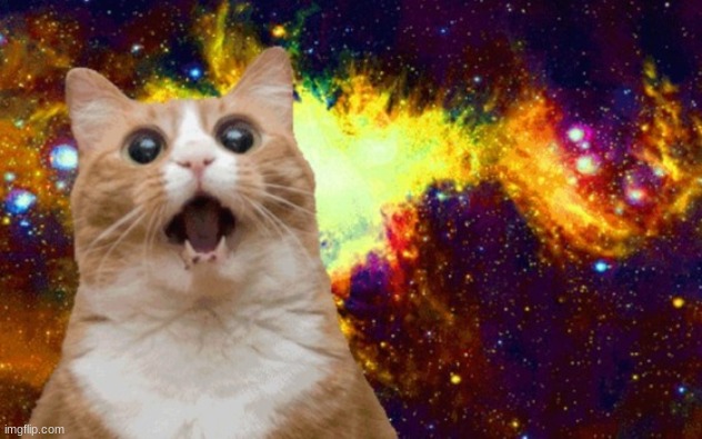 image tagged in mind blown cat | made w/ Imgflip meme maker