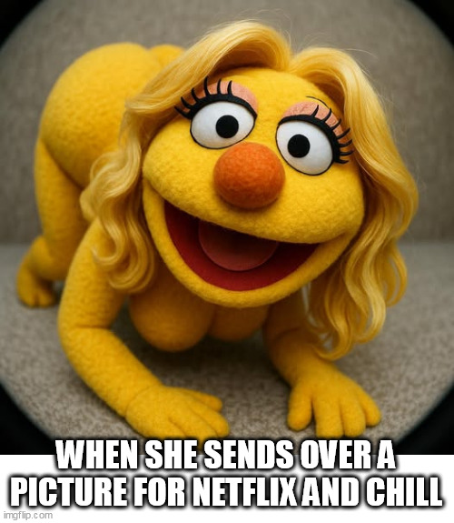 When she sends over a picture for netflix and chill | WHEN SHE SENDS OVER A PICTURE FOR NETFLIX AND CHILL | image tagged in muppet,funny,netflix and chill,sesame street,selfie,sexy | made w/ Imgflip meme maker