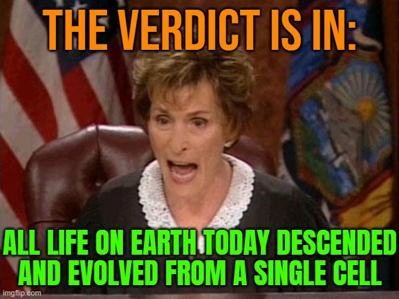 The Verdict Is In: All Life On Earth Today Descended And Evolved From A Single Cell | THE VERDICT IS IN:; ALL LIFE ON EARTH TODAY DESCENDED
AND EVOLVED FROM A SINGLE CELL | image tagged in judge judy,brain cells,human evolution,evolution,anti-religion,life | made w/ Imgflip meme maker