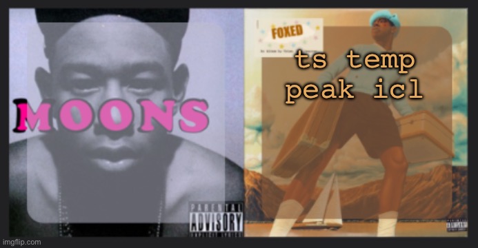 moons and foxed shared temp | ts temp peak icl | image tagged in moons and foxed shared temp | made w/ Imgflip meme maker
