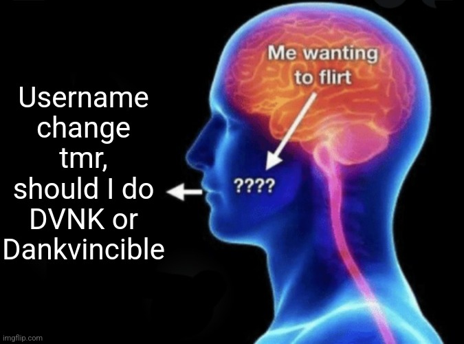 Me wanting to flirt | Username change tmr, should I do DVNK or Dankvincible | image tagged in me wanting to flirt | made w/ Imgflip meme maker