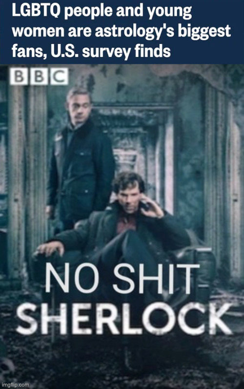 image tagged in no shit sherlock | made w/ Imgflip meme maker