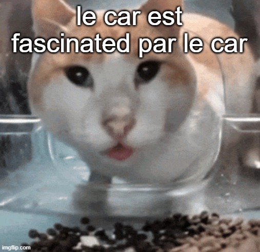 Mr Shock stare | le car est fascinated par le car | image tagged in mr shock stare | made w/ Imgflip meme maker