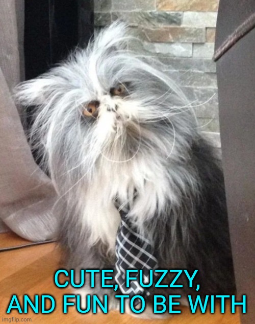What the? | CUTE, FUZZY, AND FUN TO BE WITH | image tagged in what the | made w/ Imgflip meme maker