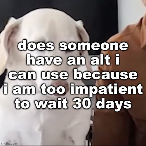 uh | does someone have an alt i can use because i am too impatient to wait 30 days | image tagged in uh | made w/ Imgflip meme maker
