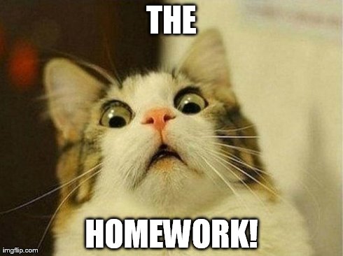 Scared Cat | THE HOMEWORK! | image tagged in scared cat | made w/ Imgflip meme maker