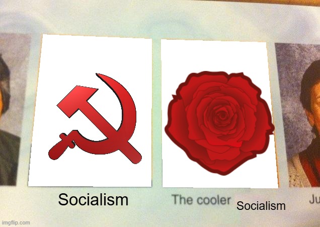 Only Idiots would support communism over social democracy | Socialism; Socialism | image tagged in daniel the cooler daniel blank | made w/ Imgflip meme maker