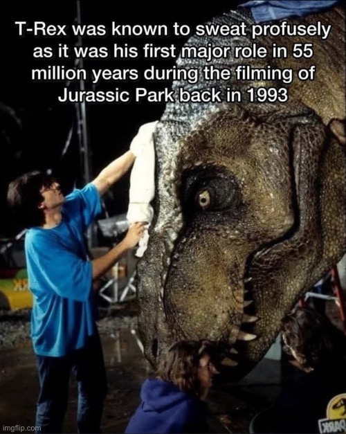 T-rex has anxiety | made w/ Imgflip meme maker