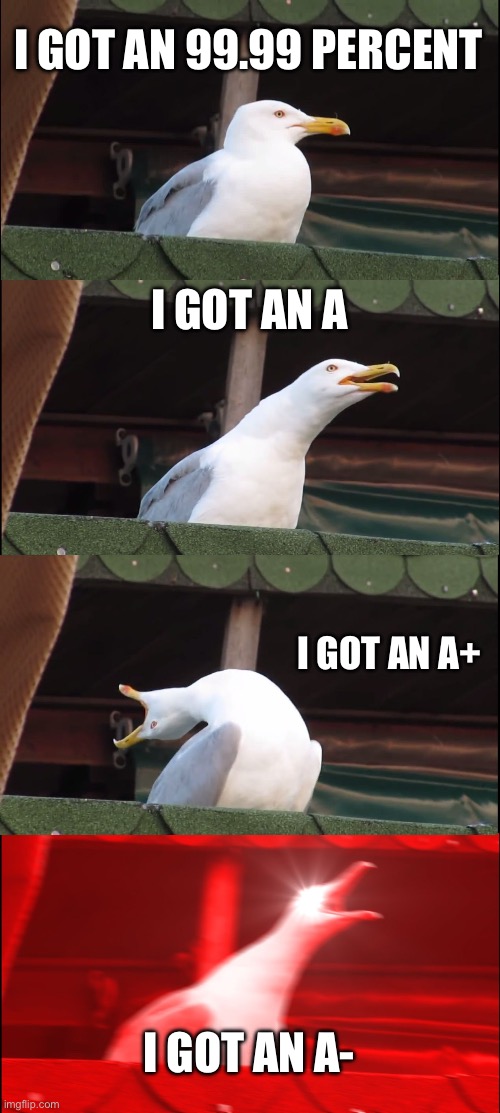 Parents every assignment | I GOT AN 99.99 PERCENT; I GOT AN A; I GOT AN A+; I GOT AN A- | image tagged in memes,inhaling seagull | made w/ Imgflip meme maker