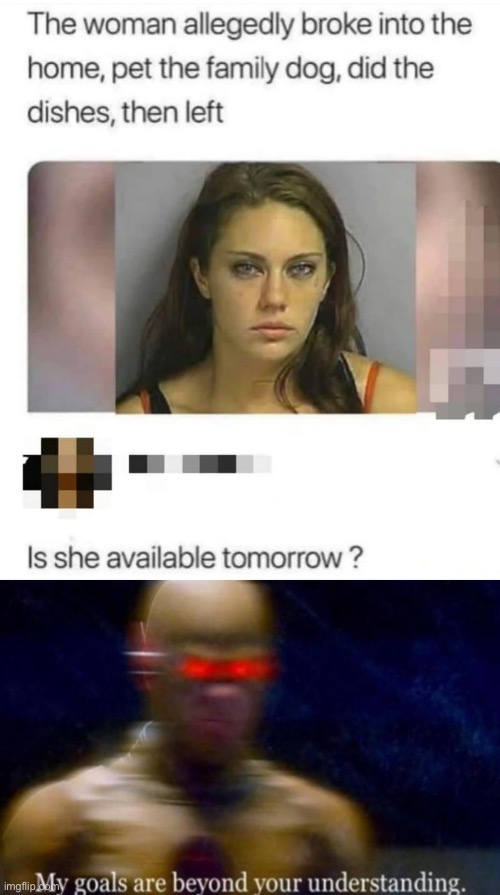 Wife material | image tagged in my goals are beyond your understanding,thief,dog,dishes | made w/ Imgflip meme maker