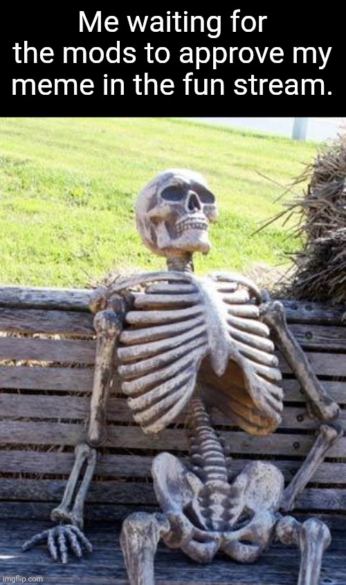 Why is it taking so long? | Me waiting for the mods to approve my meme in the fun stream. | image tagged in memes,waiting skeleton,mods,fun stream | made w/ Imgflip meme maker