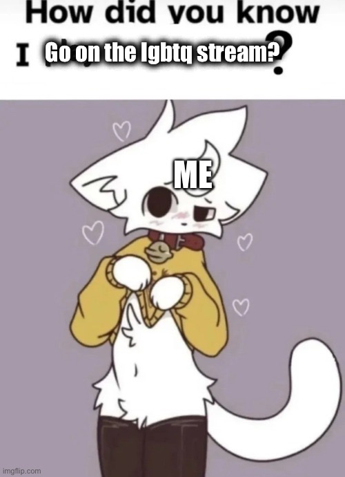 How did you know I play X? | Go on the lgbtq stream? ME | image tagged in how did you know i play x | made w/ Imgflip meme maker