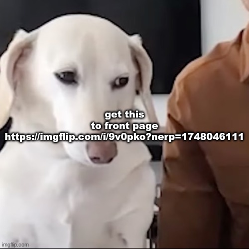 uh | get this to front page https://imgflip.com/i/9v0pko?nerp=1748046111 | image tagged in uh | made w/ Imgflip meme maker