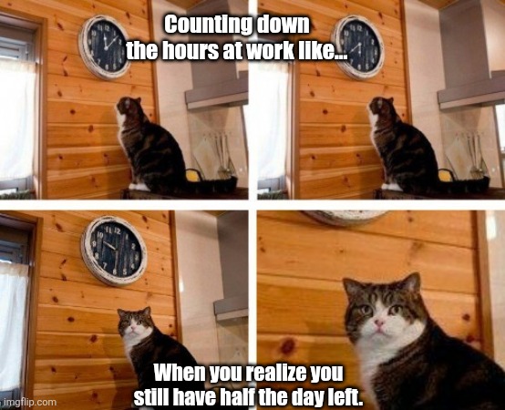 Checking hours at work | Counting down the hours at work like…; When you realize you still have half the day left. | image tagged in cat clock its time | made w/ Imgflip meme maker