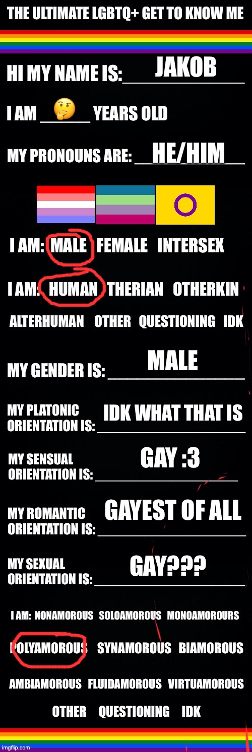 The ultimate LGBTQ+ get to know me | JAKOB; 🤔; HE/HIM; MALE; IDK WHAT THAT IS; GAY :3; GAYEST OF ALL; GAY??? | image tagged in the ultimate lgbtq get to know me | made w/ Imgflip meme maker