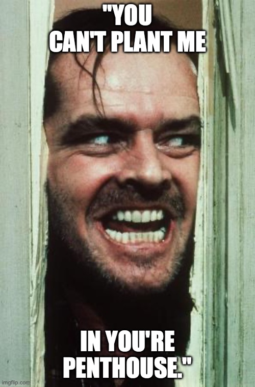 Here's Johnny | "YOU CAN'T PLANT ME; IN YOU'RE PENTHOUSE." | image tagged in memes,here's johnny | made w/ Imgflip meme maker