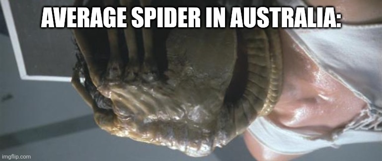 AVERAGE SPIDER IN AUSTRALIA: | image tagged in alien face hugger | made w/ Imgflip meme maker