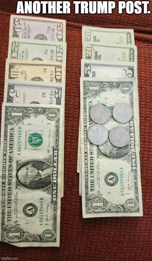 I have $86 in my pile. He has $47 in his pile.  - funny - | ANOTHER TRUMP POST. | image tagged in funny,fun,money,play on words,president | made w/ Imgflip meme maker