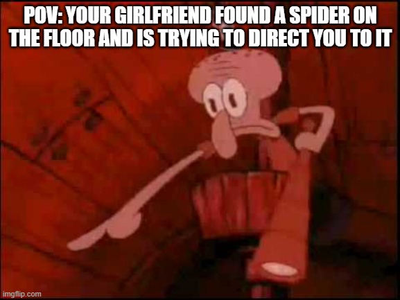 Squidward pointing | POV: YOUR GIRLFRIEND FOUND A SPIDER ON THE FLOOR AND IS TRYING TO DIRECT YOU TO IT | image tagged in squidward pointing,memes,spiders | made w/ Imgflip meme maker