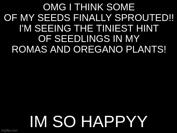 OMG I THINK SOME OF MY SEEDS FINALLY SPROUTED!!

I'M SEEING THE TINIEST HINT OF SEEDLINGS IN MY ROMAS AND OREGANO PLANTS! IM SO HAPPYY | made w/ Imgflip meme maker
