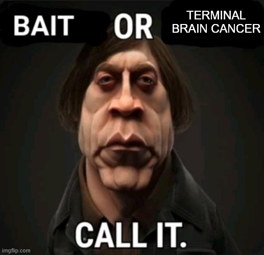 hi chat | TERMINAL BRAIN CANCER | made w/ Imgflip meme maker