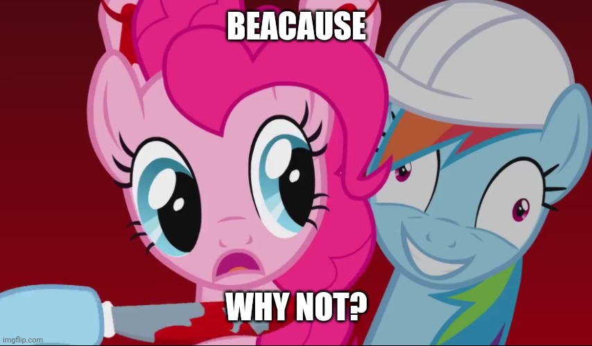 Rainbows hd | BEACAUSE WHY NOT? | image tagged in rainbows hd | made w/ Imgflip meme maker