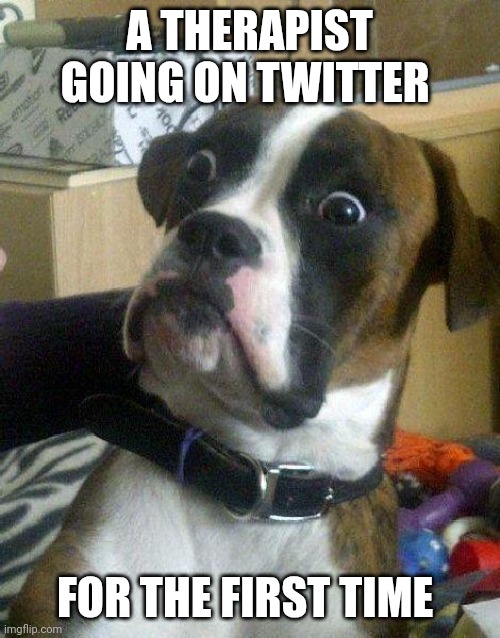 So many people with problems | A THERAPIST GOING ON TWITTER; FOR THE FIRST TIME | image tagged in surprised dog,twitter | made w/ Imgflip meme maker