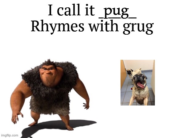 I call it ____ right font | pug | image tagged in i call it ____ right font | made w/ Imgflip meme maker