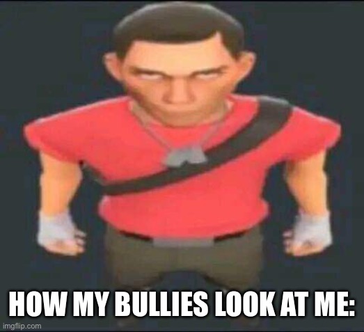 Short bully | HOW MY BULLIES LOOK AT ME: | image tagged in bro,bullying,relatable,school memes,memes,fun | made w/ Imgflip meme maker