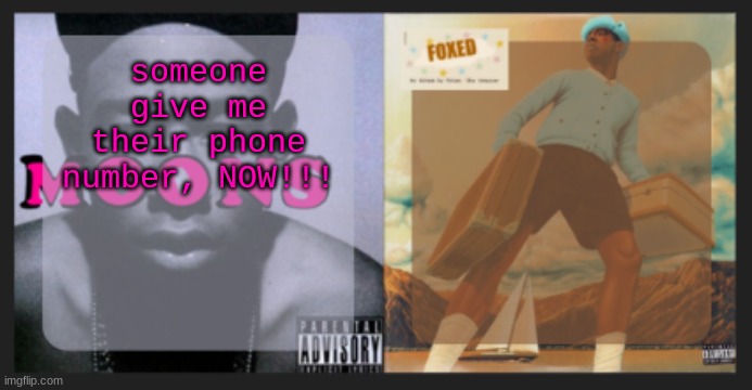 moons and foxed shared temp | someone give me their phone number, NOW!!! | image tagged in moons and foxed shared temp | made w/ Imgflip meme maker