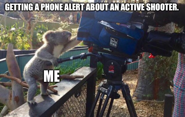 We live in a confusing world. | GETTING A PHONE ALERT ABOUT AN ACTIVE SHOOTER. ME | image tagged in koala cameraman | made w/ Imgflip meme maker
