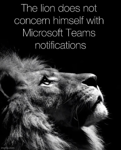 The Lion ignores Teams | image tagged in teams,microsoft,notifications,lion | made w/ Imgflip meme maker