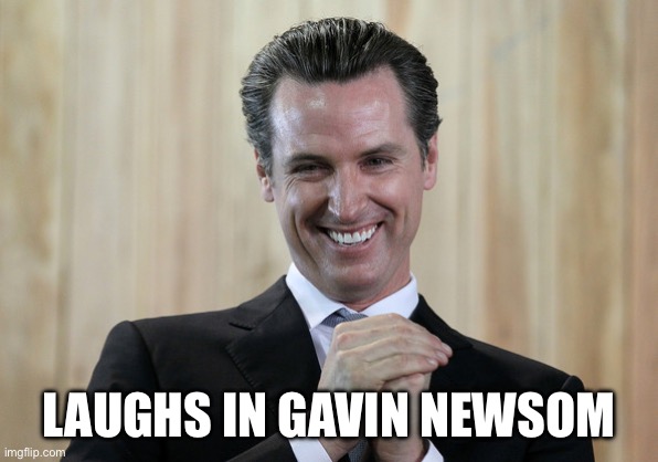 Scheming Gavin Newsom  | LAUGHS IN GAVIN NEWSOM | image tagged in scheming gavin newsom | made w/ Imgflip meme maker