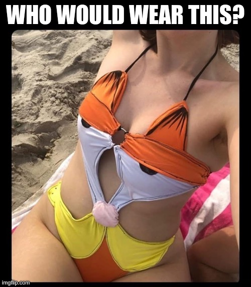Would you? | WHO WOULD WEAR THIS? | image tagged in garfield,swimming,sunbathing,garfini | made w/ Imgflip meme maker