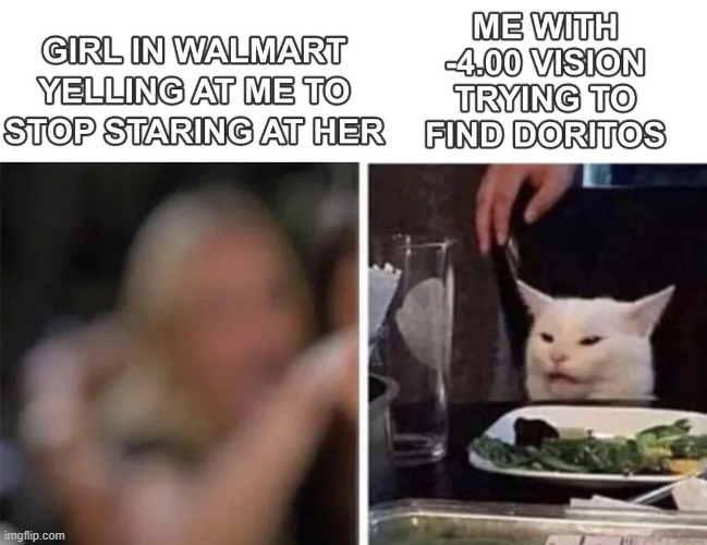 I just want doritos | image tagged in memes,funny,doritos,bad vision,smudge the cat,so true | made w/ Imgflip meme maker