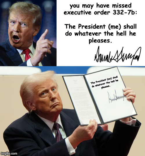 you may have missed
executive order 332-7b:
 
The President (me) shall
do whatever the hell he
pleases. The President (me) shall
do whatever | image tagged in blank white template | made w/ Imgflip meme maker