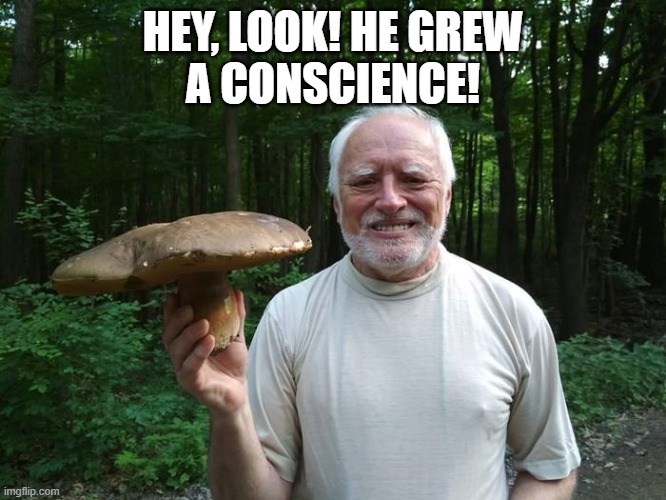 Hide The Pain Harold Holding A Mushroom | HEY, LOOK! HE GREW
A CONSCIENCE! | image tagged in hide the pain harold holding a mushroom | made w/ Imgflip meme maker
