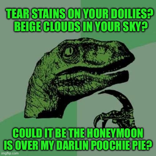 Philosoraptor | TEAR STAINS ON YOUR DOILIES?  BEIGE CLOUDS IN YOUR SKY? COULD IT BE THE HONEYMOON IS OVER MY DARLIN POOCHIE PIE? | image tagged in memes,philosoraptor | made w/ Imgflip meme maker